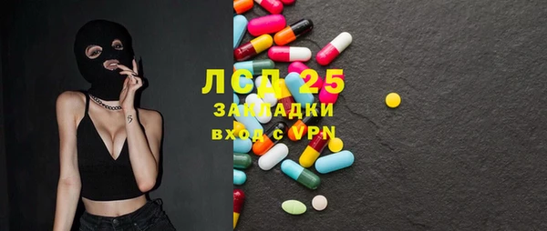 стаф Долгопрудный