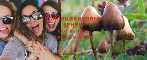 a pvp Володарск