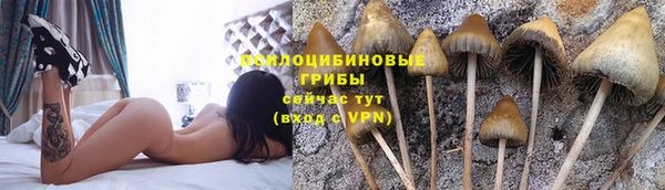 MESCALINE Дмитров