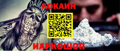 молекула духа Будённовск