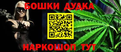 молекула духа Будённовск