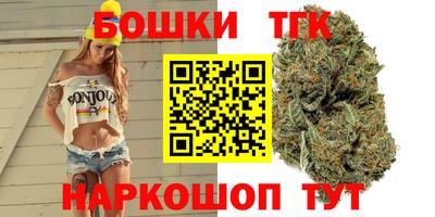 молекула духа Будённовск