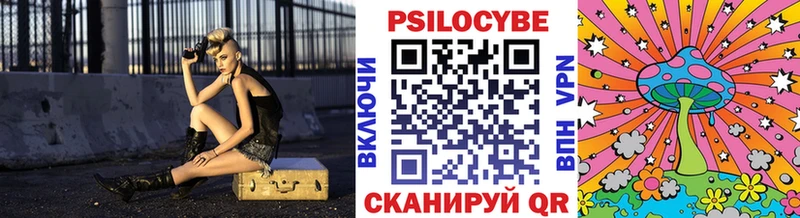 Псилоцибиновые грибы MAGIC MUSHROOMS  где купить наркоту  Грязи 