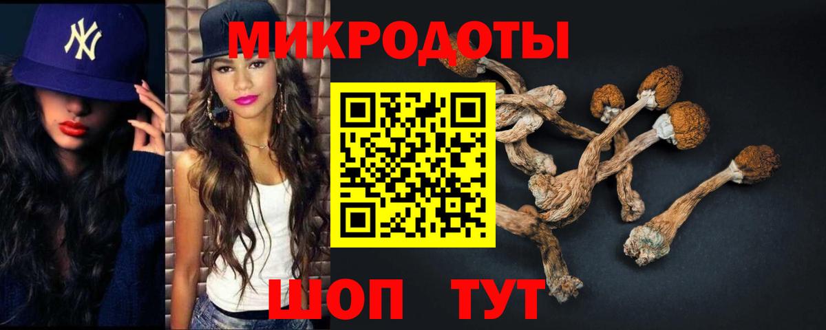 Галлюциногенные грибы Magic Shrooms  Вход с VPN  Грязи 